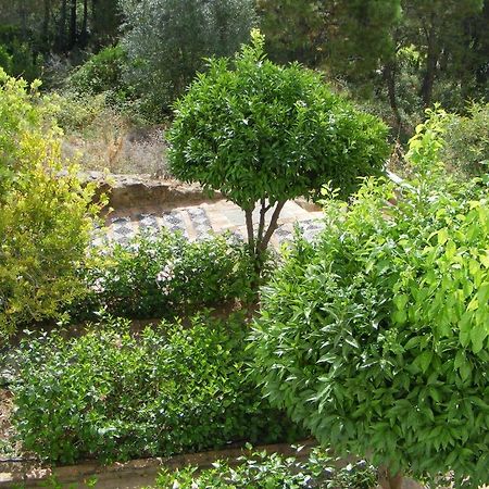 Apartamento Los Naranjos Benahavis Bilik gambar